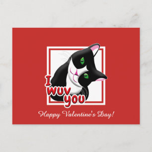 Ik wend je met een kat op de Valentijns-dag Briefkaart