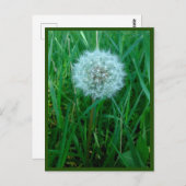 Ik wens Briefkaart (Voorkant / Achterkant)