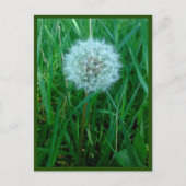 Ik wens Briefkaart (Voorkant)