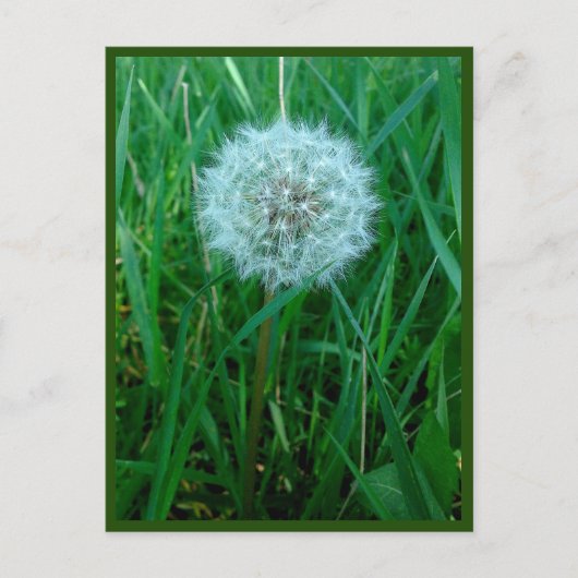 Ik wens Briefkaart (Voorkant)