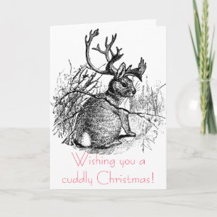 Ik wens je een knappe kerst! feestdagen kaart