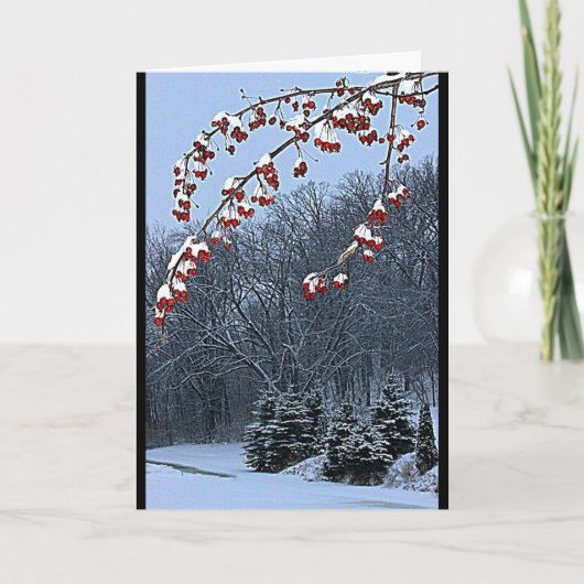 Ik wens je een mooi kerstseizoen! feestdagen kaart (Voorkant)