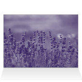 Ik wens je een versleten verjaardag (Binnen Horizontaal (Boven))