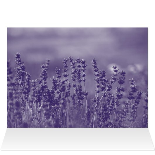 Ik wens je een versleten verjaardag (Binnen Horizontaal (Boven))