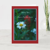Ik wens je een vrolijk vakantieseizoen Witte Daisy Feestdagen Kaart (Voorkant)