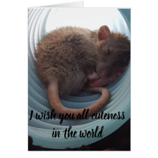 Ik wens u alle moed in de wereld