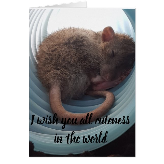 Ik wens u alle moed in de wereld (Voorkant)