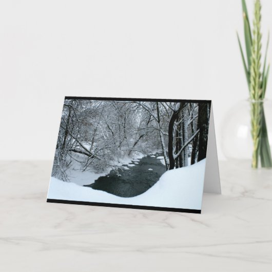 Ik wens u een fantastisch kerstseizoen feestdagen kaart (Voorkant)