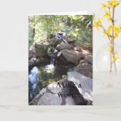 Ik wens u een goede verjaardag Kaart (Gele Bloem)