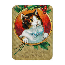 Ik wens u een prettige kerstfeestdag magneet