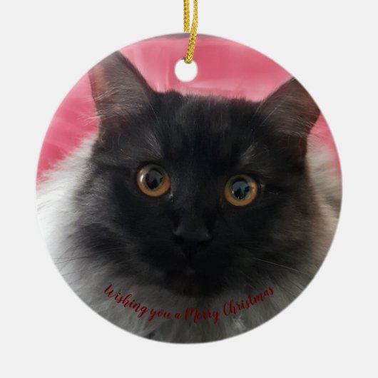 Ik wens u een prettige kerstzwarte zilverragdoll keramisch ornament (Voorkant)