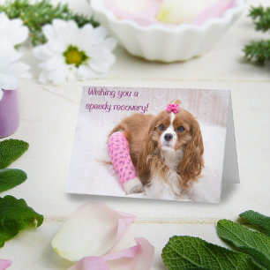 Ik wens u een Spaniel Kaart voor snel herstel
