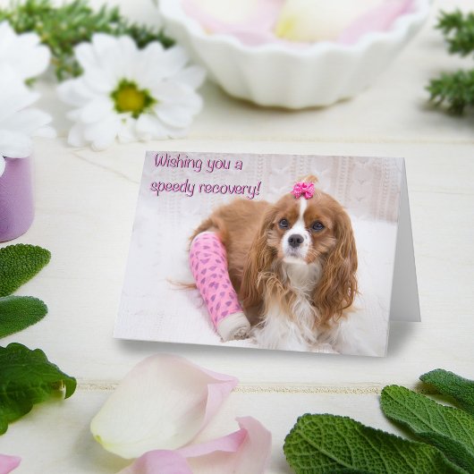 Ik wens u een Spaniel Kaart voor snel herstel
