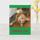 Ik wens u Meowy Kerstmis! Kaart (Gele Bloem)