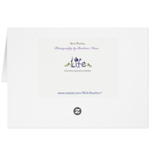 Ik wens u veel succes: helende geschenken van natu (Achterkant Horizontaal)