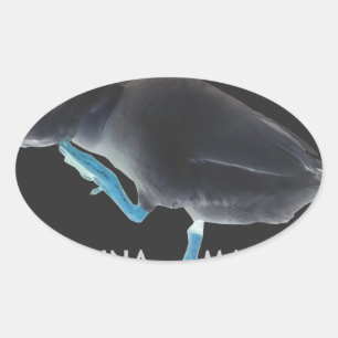 Ik werd wakker als deze Hakuna Matata Ovale Sticker