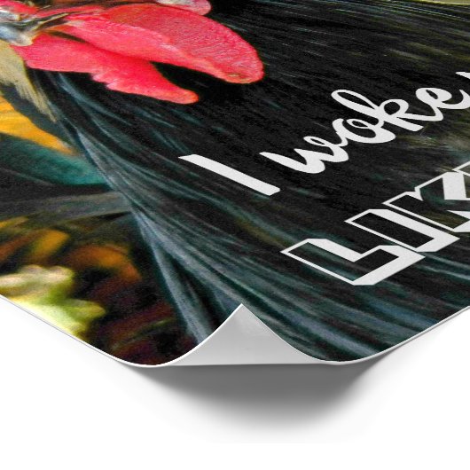 Ik werd wakker als een slechte haar kip meme poster (Hoek)