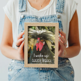 Ik werd wakker als een slechte haar kip meme poster