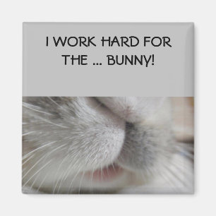 Ik werk hard voor de bunny Magnet