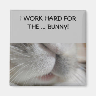 Ik werk hard voor de bunny Magnet