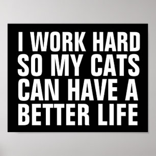 IK WERK HARD ZODAT KATTEN EEN BETER LEVENSTEKEN KU POSTER