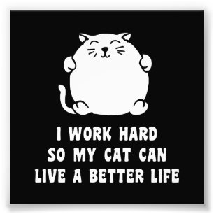 Ik werk hard zodat mijn kat een beter leven kan le foto afdruk