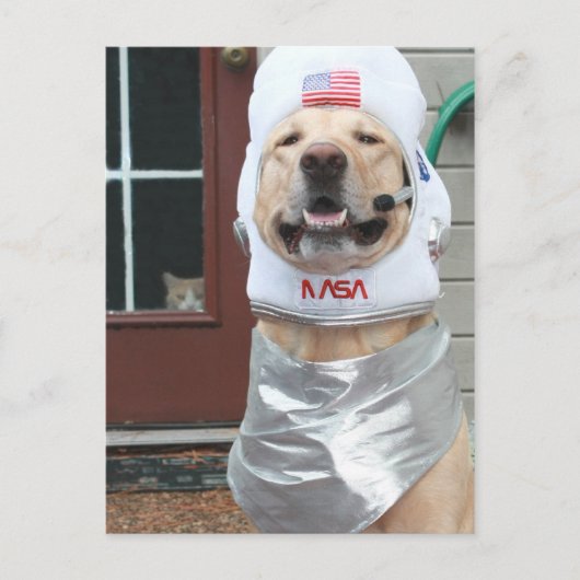 Ik wil Afbeeldingen nemen Briefkaart (Voorkant)