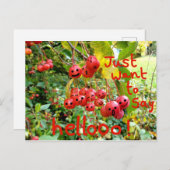 Ik wil alleen Helloo zeggen. Briefkaart (Voorkant / Achterkant)