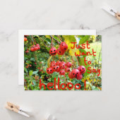 Ik wil alleen Helloo zeggen. Kaart (Voorkant / Achterkant in situ)