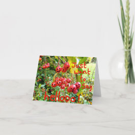 Ik wil alleen Helloo zeggen. Kaart