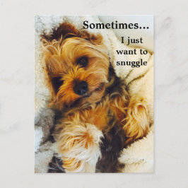 Ik wil alleen Yorkie in de war brengen Briefkaart
