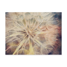 Ik wil... -Briefkaart