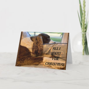 IK WIL CHRISTMAS ALLEEN ZIEN *JOU* FEESTDAGEN KAART