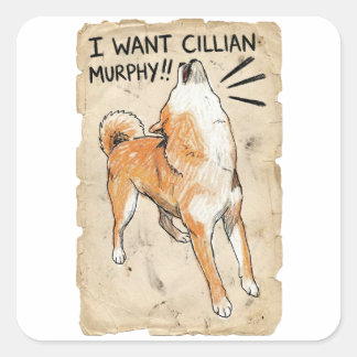 Ik Wil Cillian Murphy – Fangirl Shiba Inu Vierkante Sticker