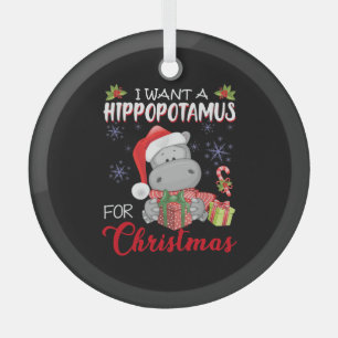 Ik wil een hippopotamus voor kerstvakantie hippo glas ornament
