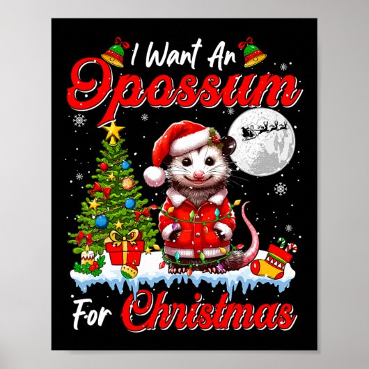 Ik wil een opossum voor kerst Schattigee Santa Sun Poster (Voorkant)