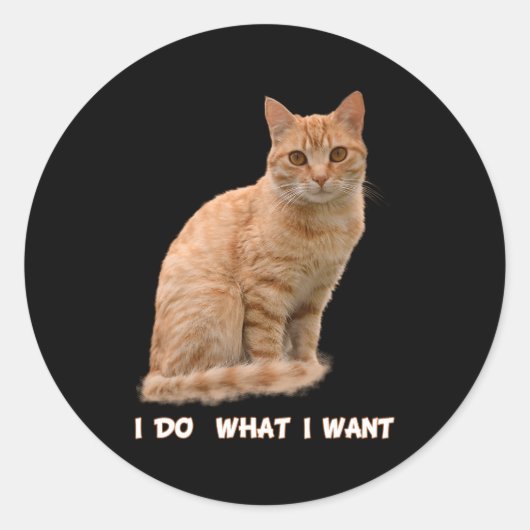 Ik wil een Oranje Tabby Cat Ronde Sticker (Voorkant)