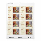 Ik wil? etiket (Full Sheet)