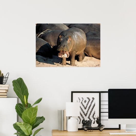 Ik wil geen Hippopotamusportret Poster (Thuiskantoor)