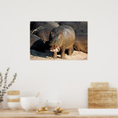 Ik wil geen Hippopotamusportret Poster (Keuken)