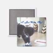 Ik wil gewoon spelen! magneet (Voorkant / Achterkant)