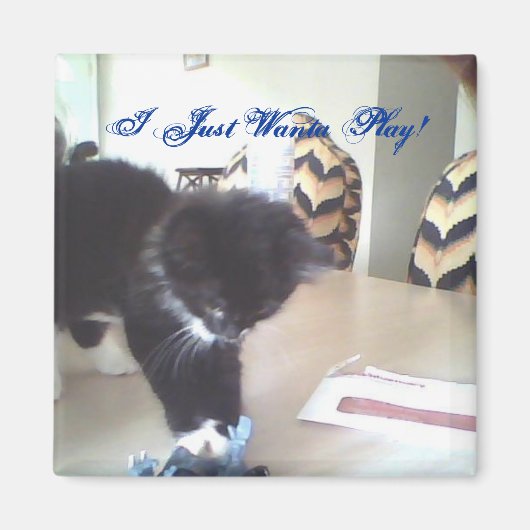 Ik wil gewoon spelen! magneet (Voorkant)