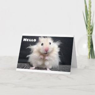 IK WIL GEWOON ZEGGEN **HAPPY BIRTHDAY** EEN DERGEL KAART