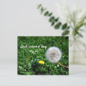 Ik wil gewoon zeggen: "Hoi". Dandelions Greetings Briefkaart (Staand voorkant)