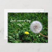 Ik wil gewoon zeggen: "Hoi". Dandelions Greetings Briefkaart (Voorkant / Achterkant)