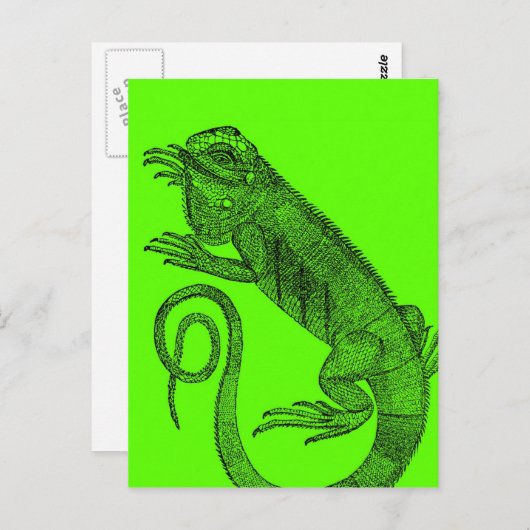 Ik wil Iguana Briefkaart (Voorkant / Achterkant)