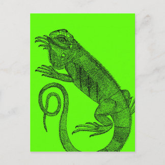 Ik wil Iguana Briefkaart