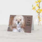 IK WIL JE GEZICHTSSCHERM VAN DUITSLEUVEN KLIKKEN KAART (Gele Bloem)