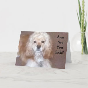 IK WIL JE GEZICHTSSCHERM VAN DUITSLEUVEN KLIKKEN KAART