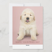 Ik wil je het meeste met een pooafdrukken feestdagenkaart (Achterkant)